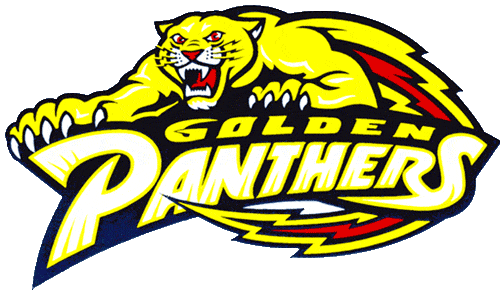 FIU Panthers 1994-2000 Primary Logo diy iron on heat transfer